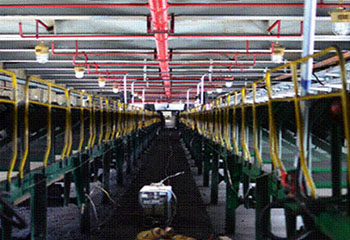 SPL/DZ型消防噴霧自動(dòng)滅火系統(tǒng)裝置